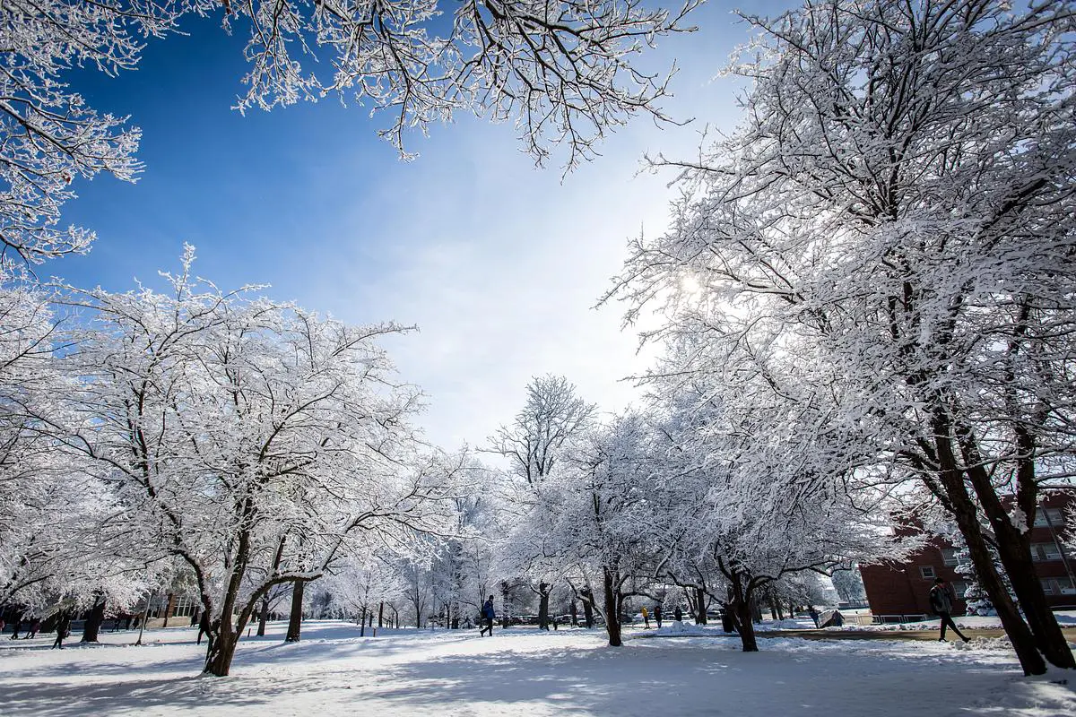 Campus in the winter