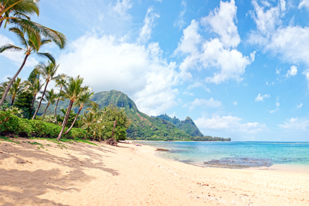 Join us for our Hawaiian Adventure trip