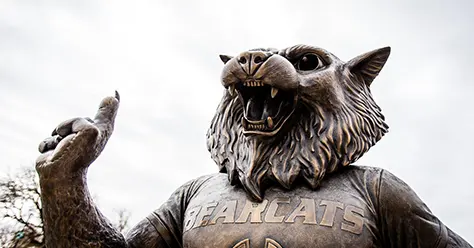 Programs & Initiatives