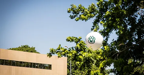 Workshops & Development