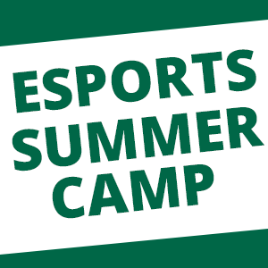 Esports Summer Camp