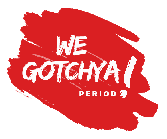 We Gotchya Fund We Gotchya Fund