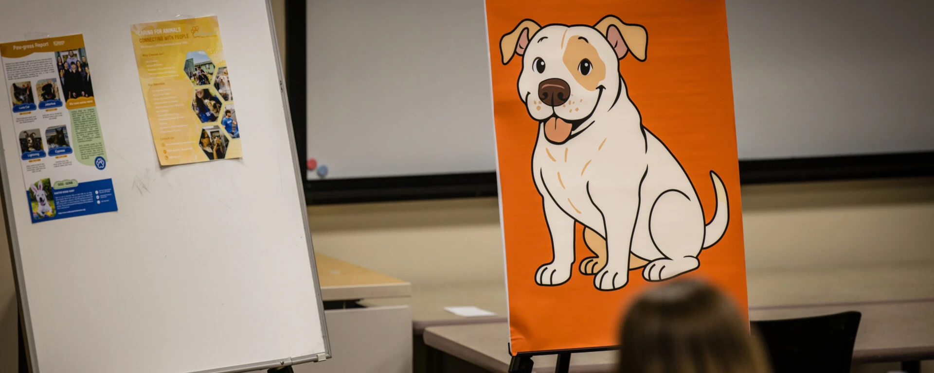 A classroom setting with an orange poster board displaying a cartoon illustration of a white dog with brown spots sitting and smiling against an orange background at Northwest Missouri State University. To the left is a whiteboard on an easel with educational materials and papers posted on it at Northwest Missouri State University. In the foreground, the back of a person with brown hair is visible, appearing to look at the dog illustration at Northwest Missouri State University.