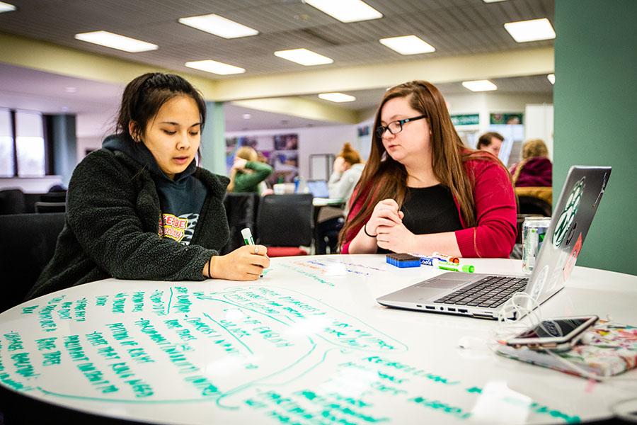Students work together at Northwest's Student Success Center. (Northwest Missouri State University photo)