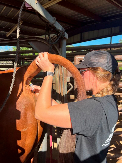 Malerie Schutt completed an internship with Integrated Breeders in Hearne, Texas.