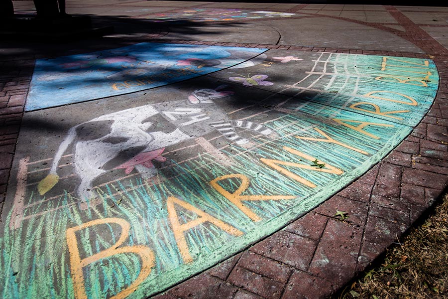 The School of Agricultural Sciences earned first place for its sidewalk chalk. (Photo by Chloe Timmons/Northwest Missouri State University)