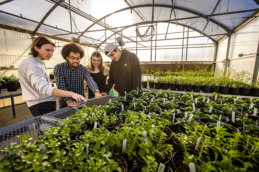 Northwest's horticulture complex is equipped with state-of-the-art technology and complements the profession-based learning experiences available to students. (Photo by Lauren Adams/Northwest Missouri State University)