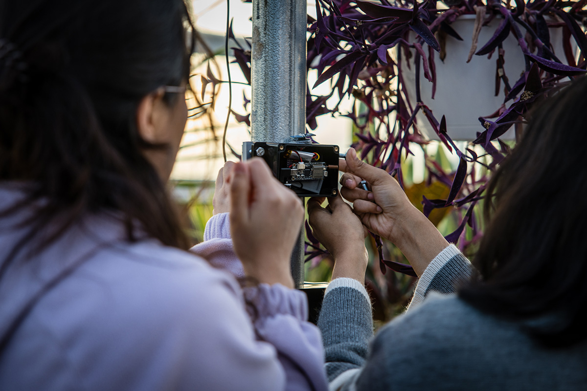 Students work on one of the sensor boards they built to collect real-time data detailing conditions in one of Northwest's greenhouses. (Photo by Lilly Cook/Northwest Missouri State University)